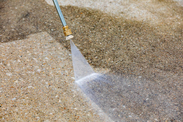 Best Spring Cleaning  in Lloyd Harbor, NY